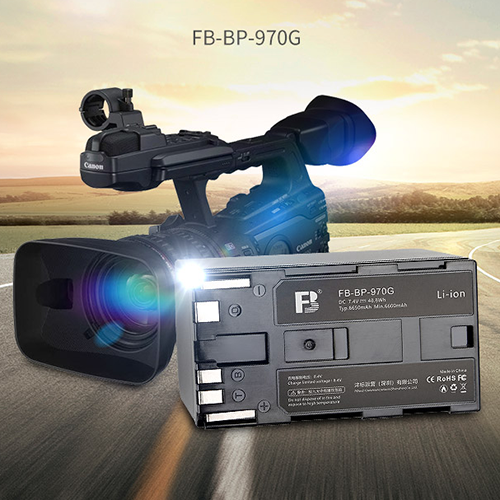 Batterie pour Canon BP-975